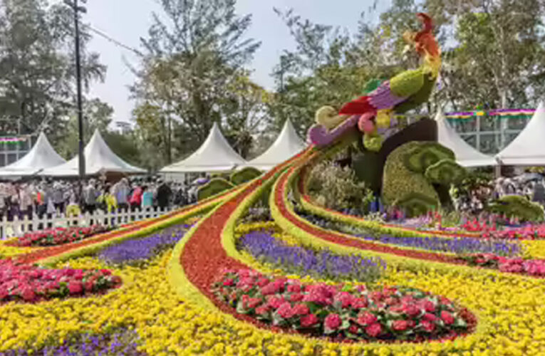 वाइब्रेंट की थीम पर होगा राज्य स्तरीय पुष्प महोत्सव, प्रदेश में उत्पादित फूलों की विभिन्न किस्मों का होगा प्रदर्शन