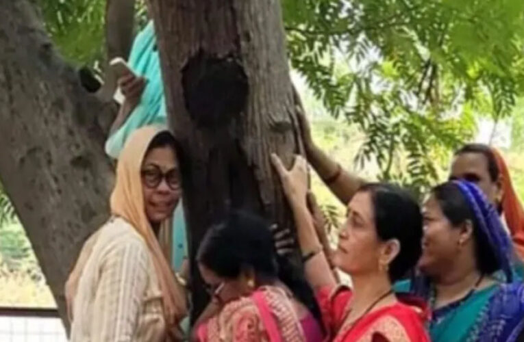 एमपी नगर में बनेगा नया खाद्य भवन, 50 साल पुराने 150 पेड़ काटने की योजना, करेंगे ‘चिपको आंदोलन’