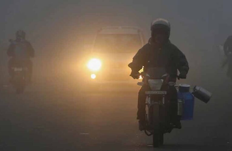 एमपी में फिर लौटी ठंड, घना कोहरा;  27-28 जनवरी को बारिश का अलर्ट
