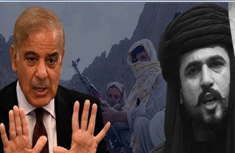 ‘बलूचिस्तान में चीन उतार सकता है सेना…’, बलूच नेता ने जयशंकर को किया आगाह