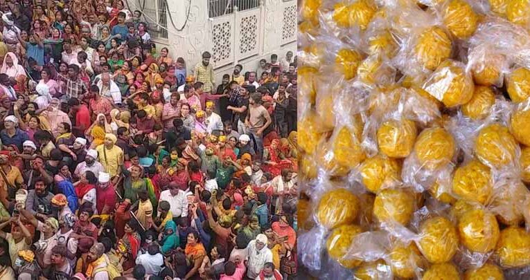 बरसाना में होली का रंगारंग आगाज़: 24 को लड्डू, 25 फरवरी को लठामार होली