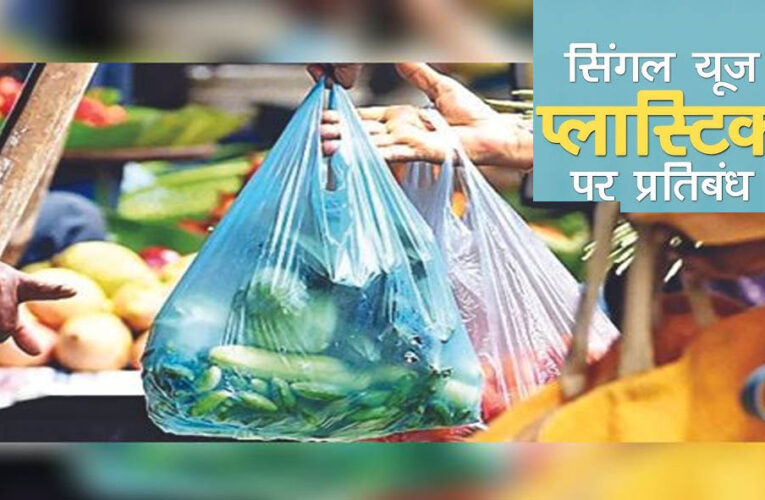 छत्तीसगढ़ में सिंगल-यूज़ प्लास्टिक पर बैन, SUDA ने जारी की सख्त गाइडलाइंस; नियम तोड़े तो जुर्माना