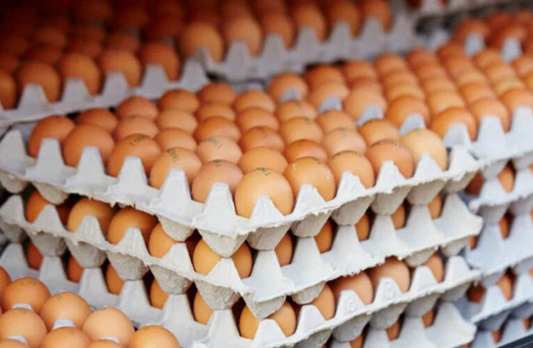 भारत में पोल्ट्री फीड महंगा, लेकिन अंडे की कीमत दुनिया में सबसे सस्ती, जानिए ब्राजील और अमेरिका का रेट