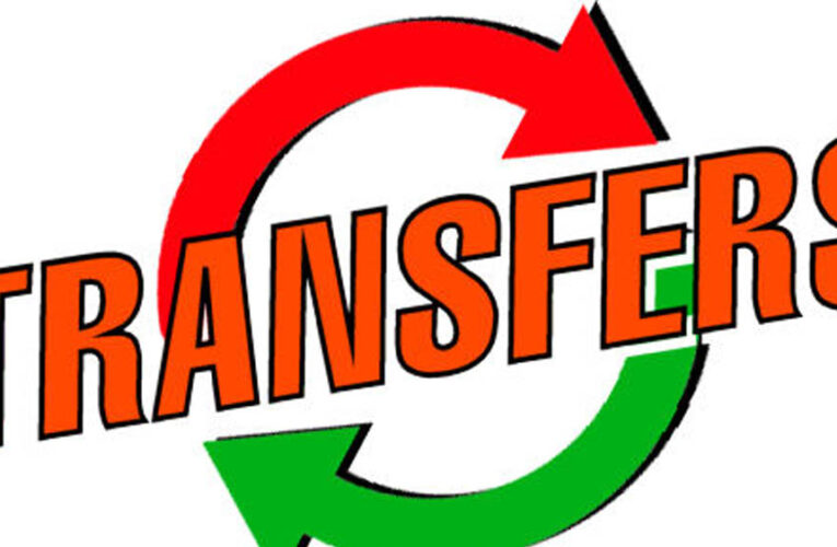 वन विभाग में बड़ा फेरबदल: 28 IFS और 20 राज्य वन सेवा अधिकारियों के ट्रांसफर