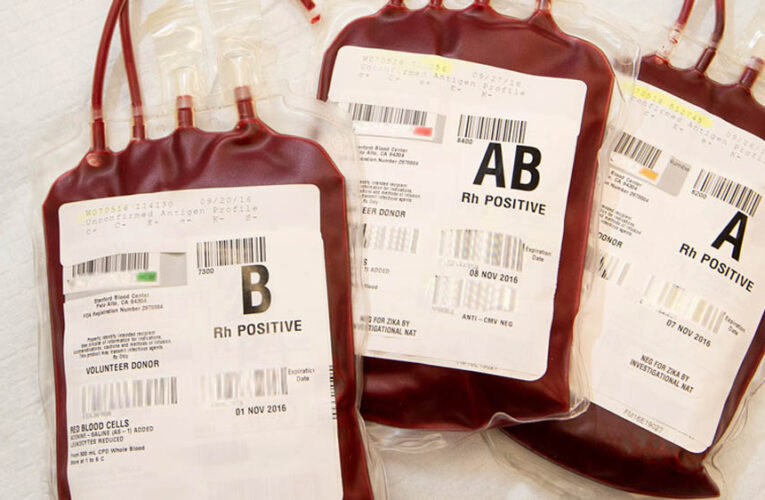 इंसानी ब्लड बैग में मिला हजार लीटर बकरी का खून, रेड में हुआ बड़ा खुलासा; हड़कंप मचा