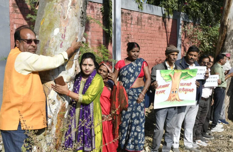 भोपाल की सांसे नहीं रुकेगी; अयोध्या बायपास के लिए 8 हजार पेड़ काटने पर NGT की रोक बरकरार