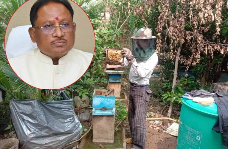 CG News: साय सरकार में खेती के साथ मधुमक्खी पालन बनीं उदय राम की रोजगार की कुंजी, कृषि विज्ञान केंद्र से लिया था प्रशिक्षण