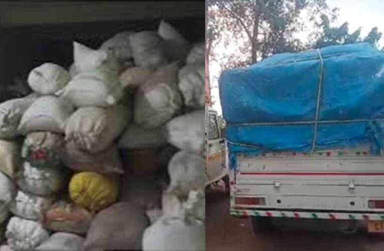 कोरिया जिले में सैकड़ों बोरी धान सहित वाहन जब्त, अवैध धान परिवहन व भंडारण पर बड़ी कार्रवाई