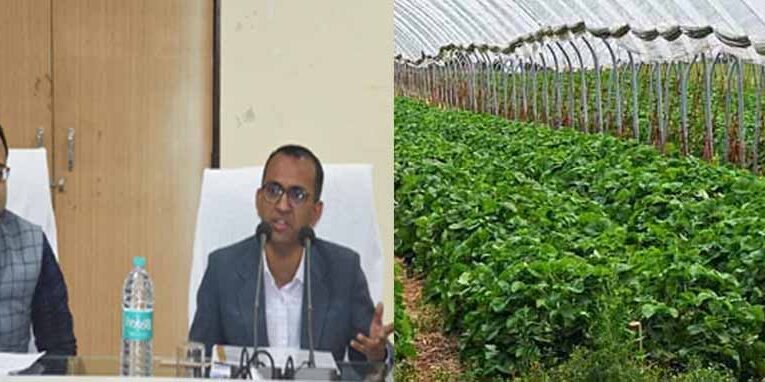 कलेक्टर वसंत ने की कृषि, उद्यानिकी, पशुधन विकास की समीक्षा, उद्यानिकी योजनाओं का करें प्रभावी क्रियान्वयन