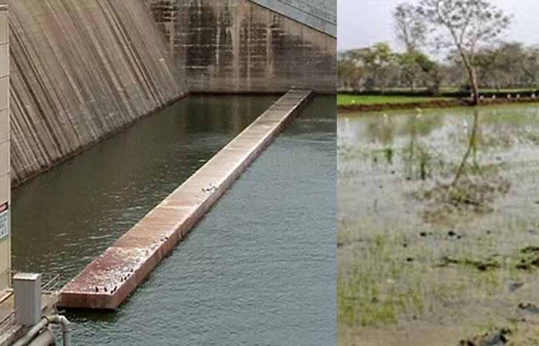रबी फसल के लिए जलाशय से छोड़ा गया पानी, महासमुंद के किसानों को मिलेगी राहत