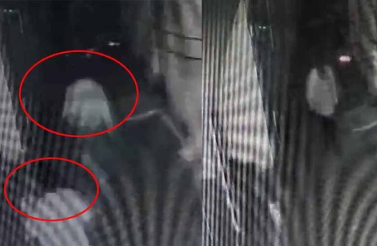 रायपुर के तेलीबांधा में गैंगवार में एक की हत्या, सभी आरोपी फरार