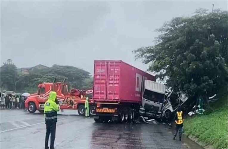 दक्षिण अफ्रीका में सड़क त्रासदी: टैक्सी-ट्रक टक्कर, 11 की मौत