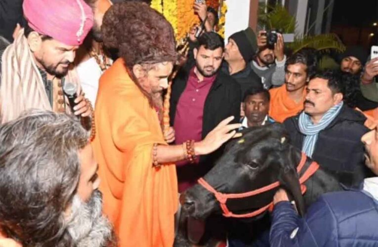बृजभूषण शरण सिंह का खास तोहफा: ऋतेश्वर महाराज को जन्मदिन पर दी दुर्लभ गाय, कीमत चौंकाने वाली