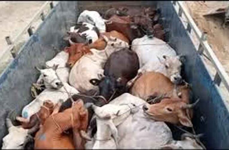 ओडिशा में गोमांस अफवाह से हड़कंप, भीड़ ने दुकान और वाहन जलाए