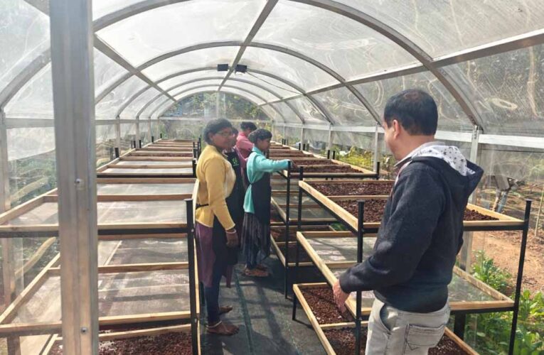 जशपुर में हरित तकनीक की पहल: DST प्रायोजित परियोजना से स्थापित हुआ सोलर टनल ड्रायर