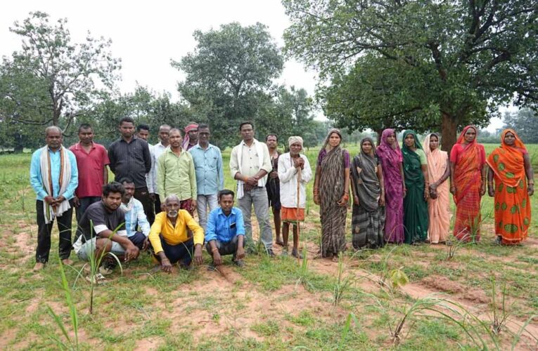 छोटे किसानों की किस्मत संवार रही लेमनग्रास खेती