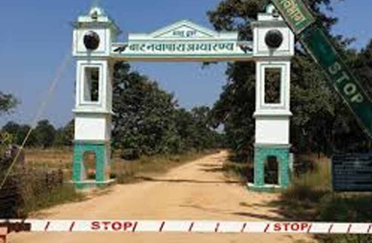 बारनवापारा अभयारण्य में वर्षों बाद फिर दिखी दुर्लभ वन्यजीव झलक