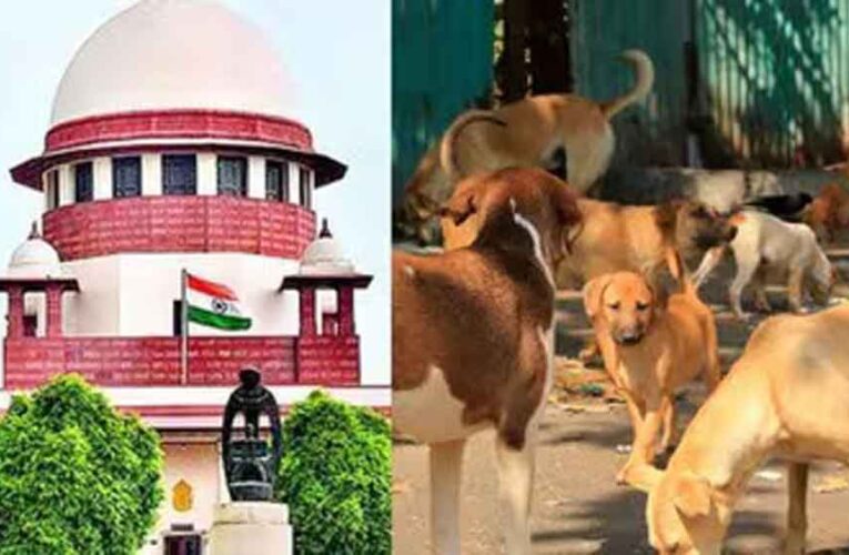 आवारा कुत्तों पर SC का फैसला जल्द, वकीलों से हफ्ते में मांगी दलीलें