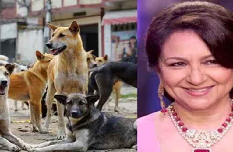 ‘आप हकीकत से पूरी तरह अलग हैं’ — आवारा कुत्तों के मुद्दे पर SC की शर्मिला टैगोर को सख्त फटकार