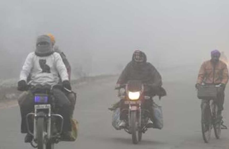 मकर संक्रांति पर MP का मौसम बदला, ग्वालियर में अब भी ठंड, कुछ जगह धूप तो कुछ जगह तेज सर्दी