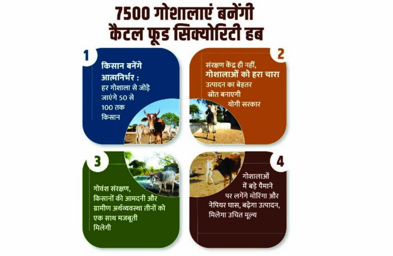 7500 गोशालाएं बनेंगी कैटल फूड सिक्योरिटी हब