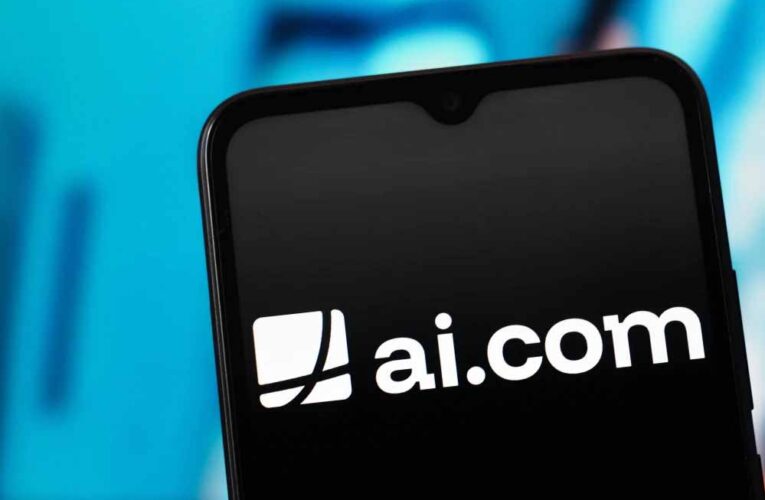 ₹300 का डोमेन बना 600 करोड़ की डील, 10 साल की उम्र में रचा इतिहास