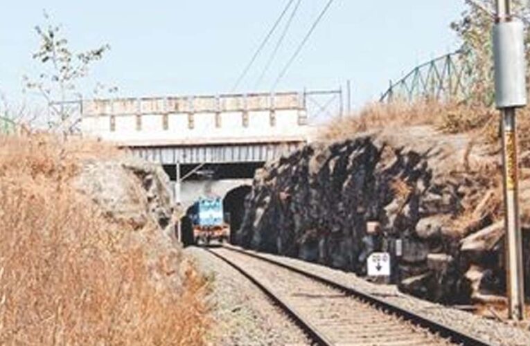 रातापानी में बनेंगे चार एनीमल ओवरपास, 10 साल में मिडघाट में 10 तेंदुए और 9 बाघ हुए मृत