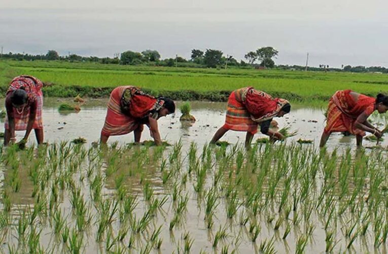 छत्तीसगढ़ सरकार की योजना: किसान तैयार हो जाएं, 1.5 लाख रुपये तक मिलेगा लाभ, जानें आवेदन प्रक्रिया