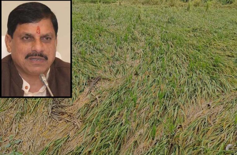 एमपी के 25 जिलों में बारिश से फसलें बर्बाद, सीएम मोहन ने दिए तत्काल राहत के निर्देश