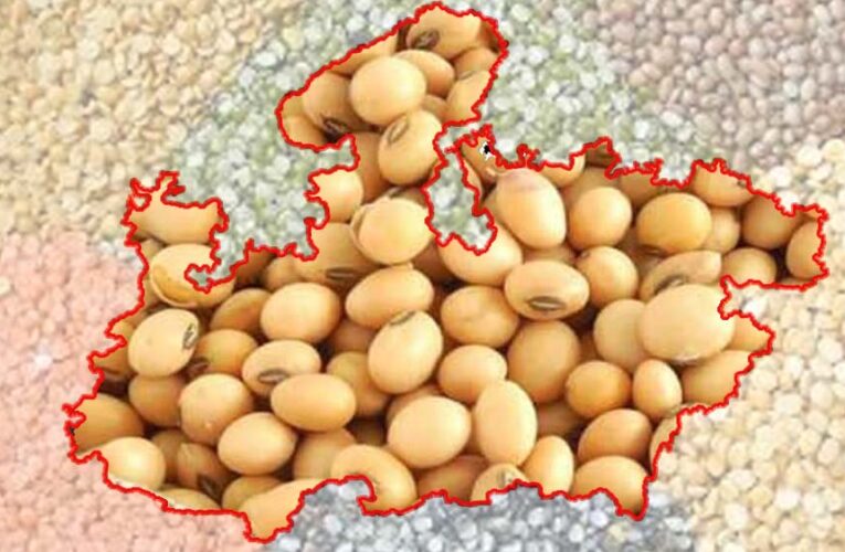 मध्यप्रदेश कृषि उत्पादन में देश के शीर्ष राज्यों में, खाद्यान्न, दलहन और तिलहन में अग्रणी