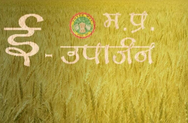 4 लाख 42 हजार से अधिक किसानों ने समर्थन मूल्य पर गेहूँ उपार्जन के लिये कराया पंजीयन
