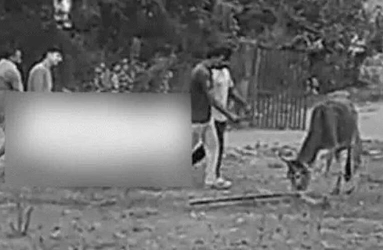 रायसेन में दुष्कर्म की कोशिश के बाद युवती की हत्या, भागते आरोपी को ग्रामीणों ने पकड़ा; अस्पताल में मौत