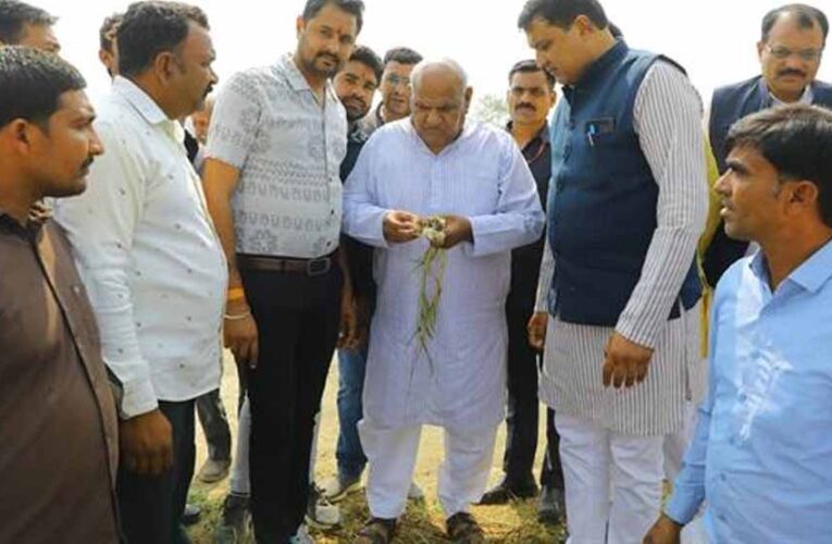 प्रदेश के ओलावृष्टि प्रभावित किसानों को मिलेगा पूरा मुआवजा – राजस्व मंत्री  वर्मा