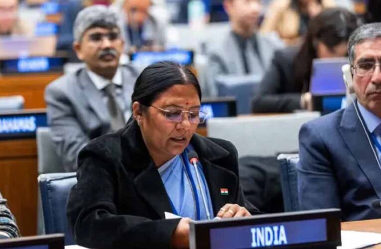संयुक्त राष्ट्र में गूंजा ‘विकसित भारत’ का संकल्प, केंद्रीय राज्यमंत्री ने पेश किया भारत का दृष्टिकोण