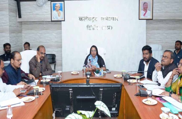 कलेक्टर ने सुनीं आमजन की समस्याएं, त्वरित निराकरण के दिए निर्देश