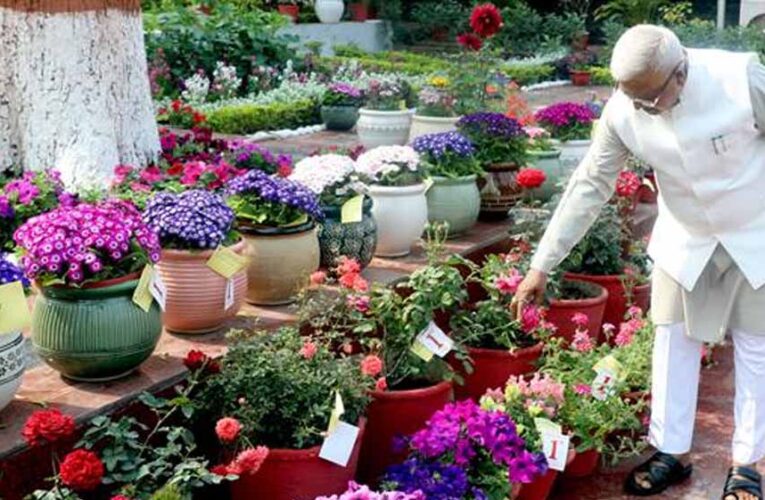 मेहनत और निष्ठा का प्रतिफल, पुरस्कार : राज्यपाल  पटेल