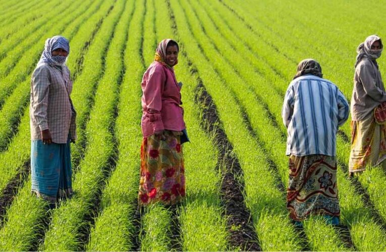 एमपी में होगा ‘जहर मुक्त खेती’ का महायज्ञ, देशभर के किसान पहली बार एक साथ होंगे जुटे