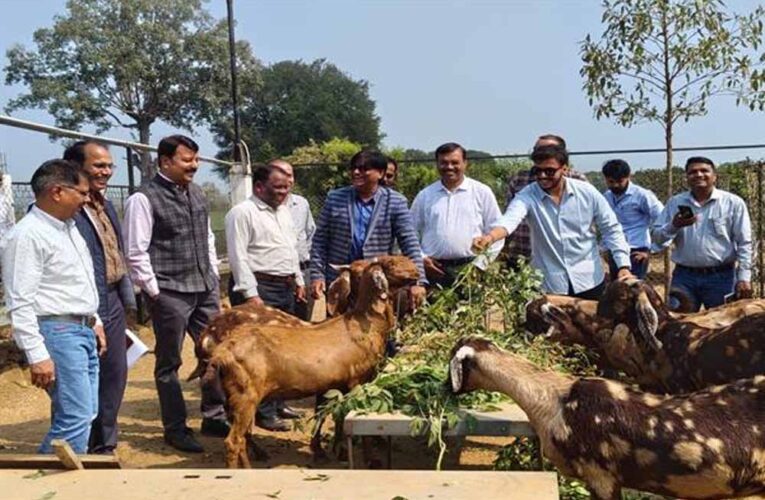 कृषि और पशुपालन किसानों के लिए बन रहा लाभकारी व्यवसाय