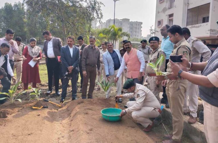 हाइड्रोपोनिक्स से टेरेस गार्डन को मिल रही नई दिशा
