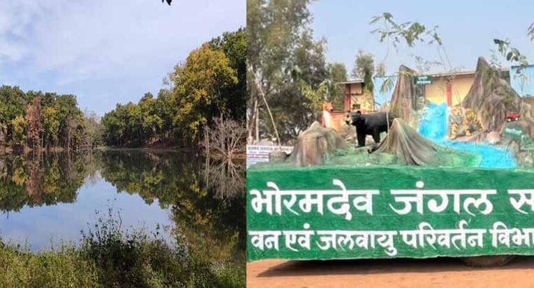 भोरमदेव में शुरू होगी जंगल सफारी, 17 बार नदी पार करने का मिलेगा रोमांचक अनुभव