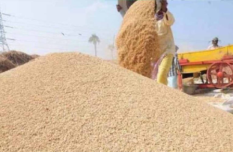 छत्तीसगढ़ के किसानों को बड़ी राहत, धान खरीदी की तारीख 2 दिन बढ़ी, अब 4 और 5 फरवरी को भी बिकेगा धान