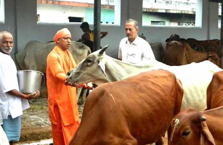 यूपी  में सबसे ज्यादा रिकॉर्ड 16 लाख निराश्रित गोवंश संरक्षित