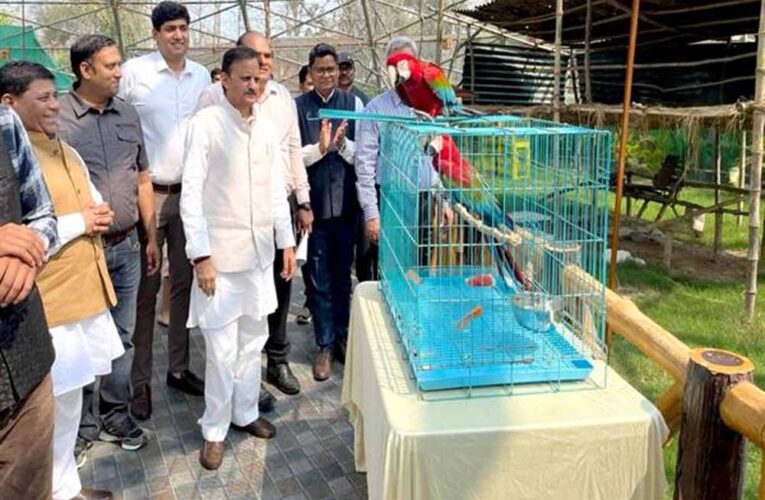 उप मुख्यमंत्री  शुक्ल ने मुकुंदपुर जू का किया निरीक्षण विदेशी पक्षियों से एवियारी हुआ गुलजार