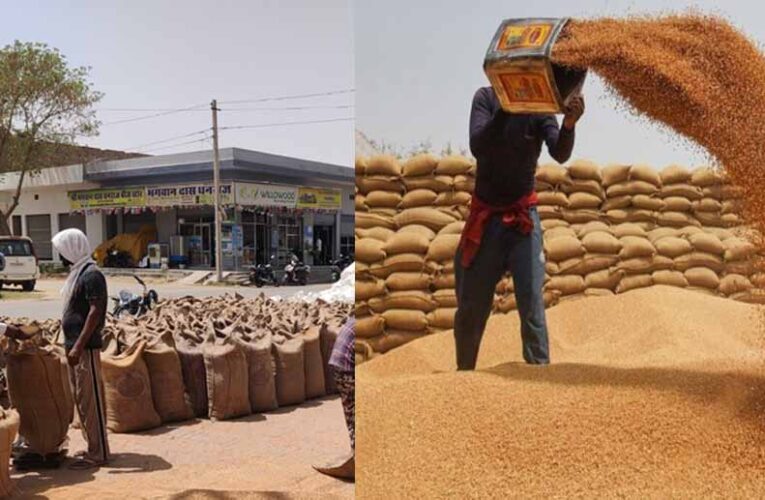 राजस्थान में शुरू हुई गेहूं की सरकारी खरीद, ₹2,585 प्रति क्विंटल है समर्थन मूल्य