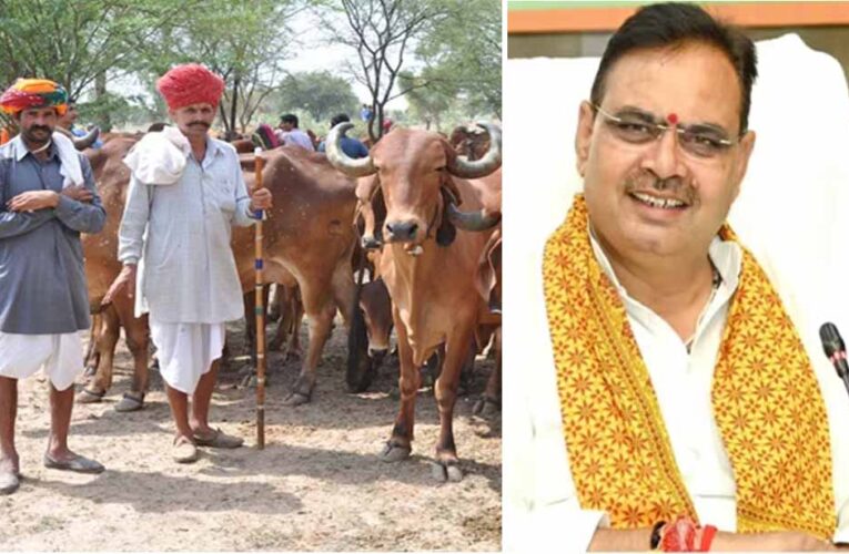 मंगला पशु बीमा योजना में 21 हजार पशुओं का होगा बीमा, पशु पालक चूके तो ₹40 हजार का नुकसान