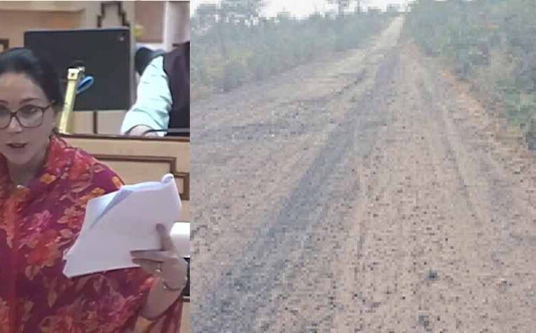 राजस्थान विधानसभा में उठा सीमावर्ती जर्जर सड़कों का ‘मुद्दा’, दीया कुमारी ने दिया सुधार वाला जवाब