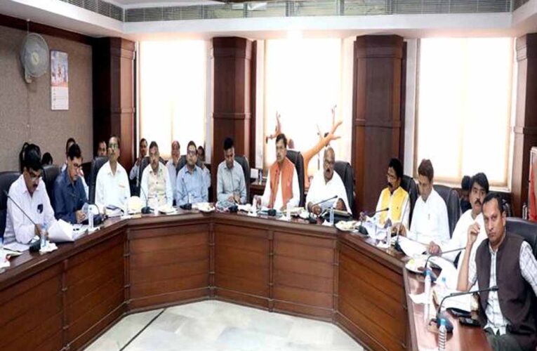 परामर्शदात्री समिति की बैठक में प्राप्त सुझावों पर किया जायेगा अमल : ऊर्जा मंत्री  तोमर