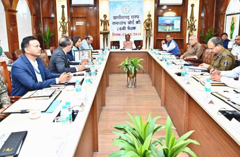 वन्यजीवों के प्राकृतिक आवास की सुरक्षा और सह-अस्तित्व के सिद्धांतों के अनुरूप हो सभी गतिविधियों का संचालन : मुख्यमंत्री  साय