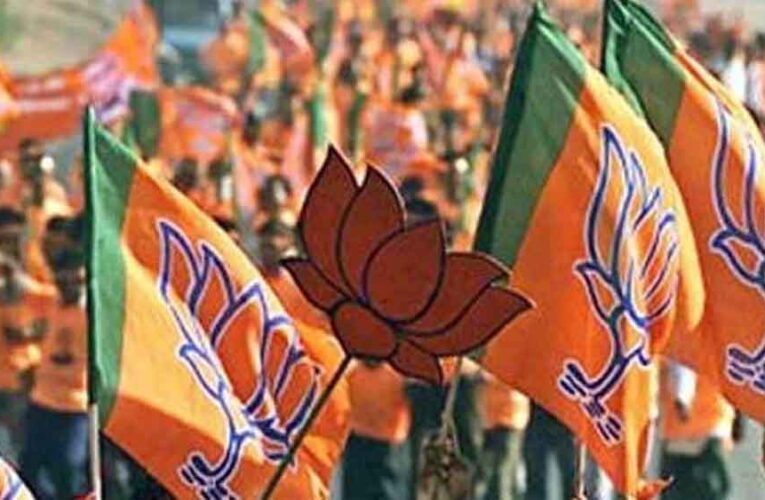 मध्य प्रदेश के कई नेता भाजपा की राष्ट्रीय टीम में, पार्टी ने भेजे 15 नाम