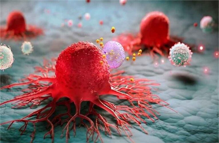 शरीर में चुपके से घर कर रहा है कैंसर! आज नहीं बदलीं ये 4 आदतें तो बढ़ सकता है खतरा